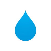 Damp Survey