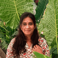 Bhavya