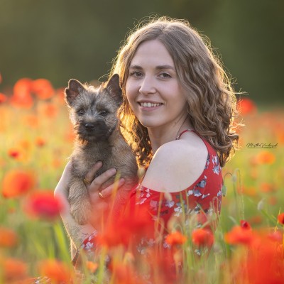 Mini reading met 1 vraag €15,-