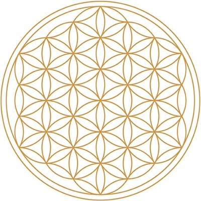 Big Shift Holistic Coaching Package (single)