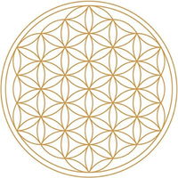 Euphoria Holistic Coaching