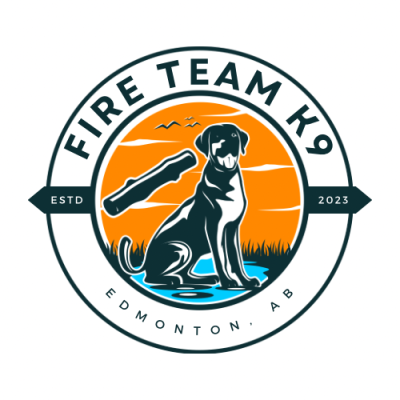 60 Minute Consultation