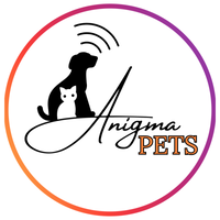 Anastasia Soroka (Anigma Pets)