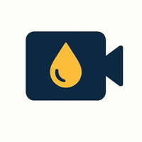 Damp Surveyor Near Me