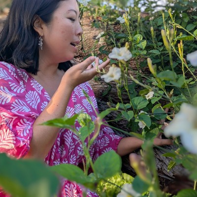 Discovery Call (30 minutes - Free)