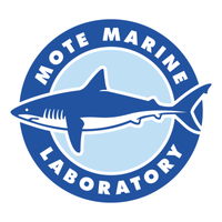 Mote Marine Laboratory & Aquarium