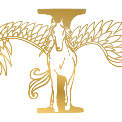 RELAJATEC en Sesión de Diagnóstico