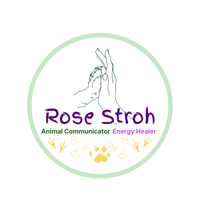 Rose Stroh