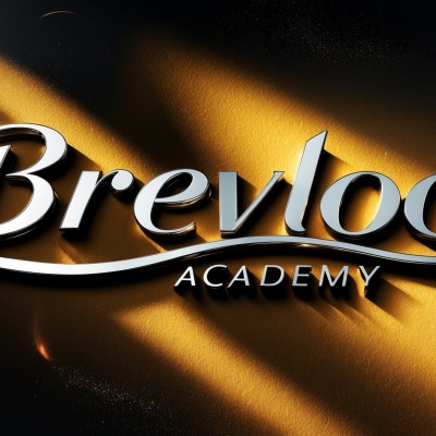 Call avec Team Brevloc