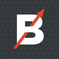 Ballistica Consulting