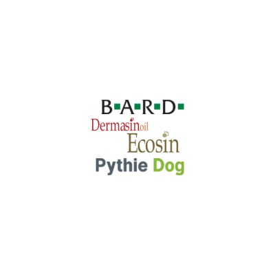 London Calling - Speak to us in English