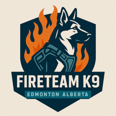 60 Minute Consultation