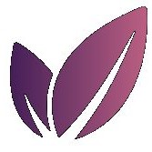 Christmas Promo - 40% Discount