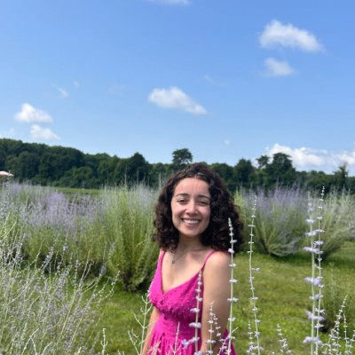 Consulta de Direcionamento Cíclico