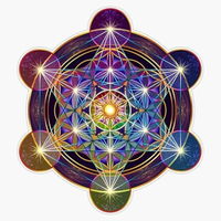 Jessica Rago's Divine Guidance