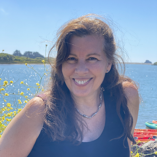 Grounded Presence: A Somatic Reset for the Holidays