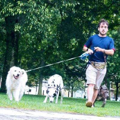 🐕‍🦺🚶Paseo