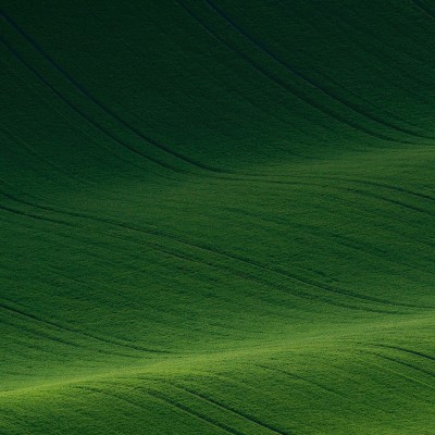 Discovery Call – Instructional Design & Training Solutions (30 mins)