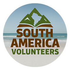 S.A.V. - Info Talk / Interview (30 Min.)