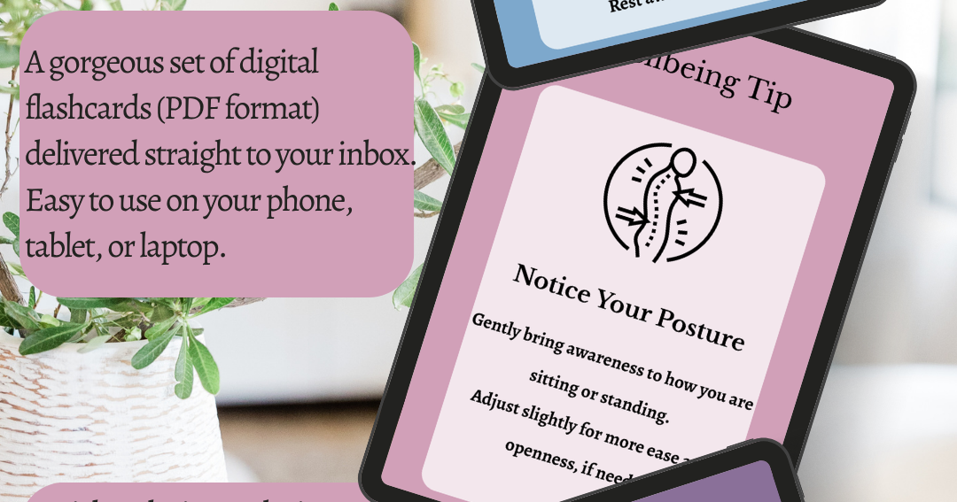 MENO/pause Flashcards Visualisation(digital)