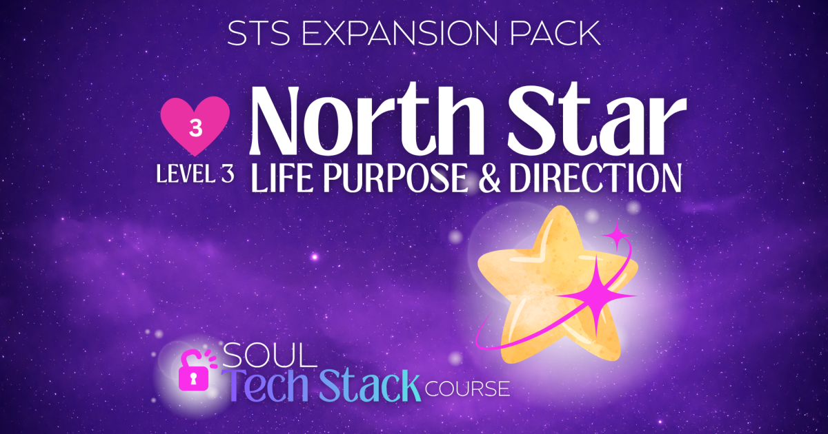 🩷 LEVEL 3: STS EXPANSION ⭐️ The "North Star" Pack (Life Purpose & Direction)