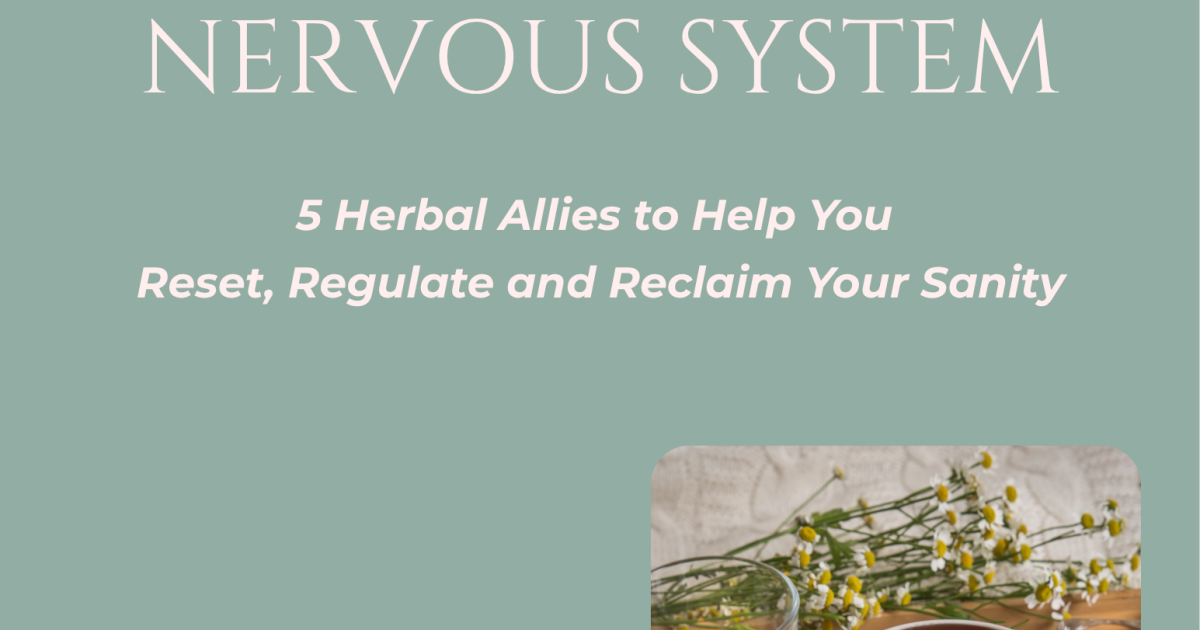Top 5 Herbs for the Stressed Nervous System