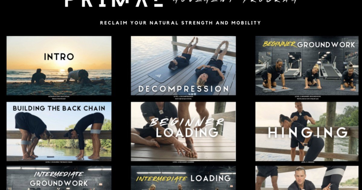Primal Movement Program