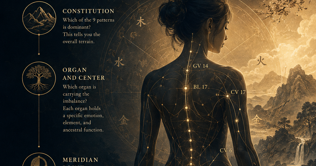Qi Bode: Advanced TCM Precision Command Protocols