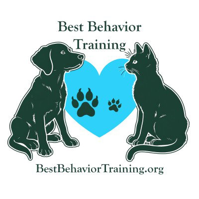 Best Behavior Training